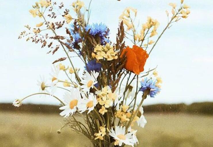 别人生病了简短句安慰