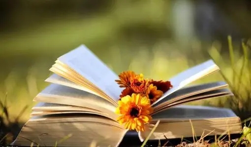 阳光励志正能量的句子文案