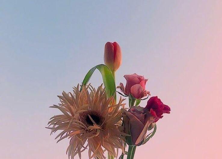 别人秀恩爱怎么神评论