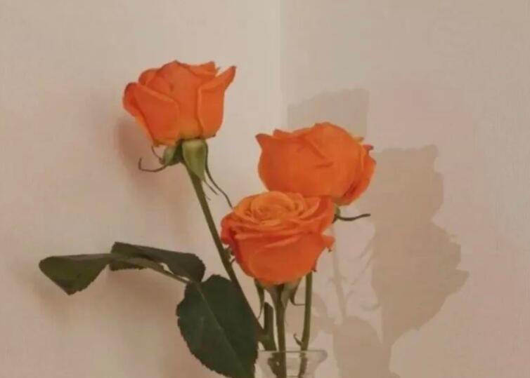 名作家关于爱情的经典语录文案