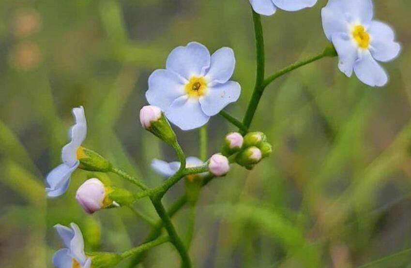 2024早安励志说说文案