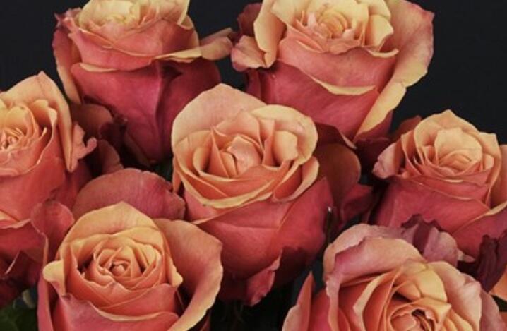 暗示不想分手的句子文案