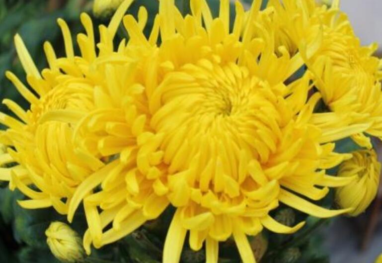 天堂走好的句子文案简语