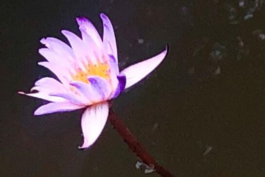 我一直在的经典语录文案