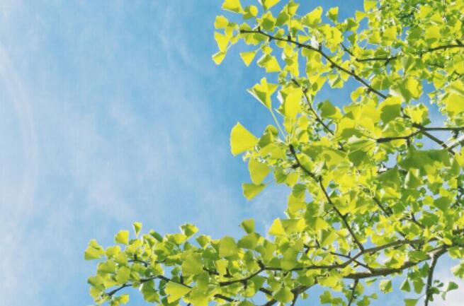 相识纪念日心情说说文案