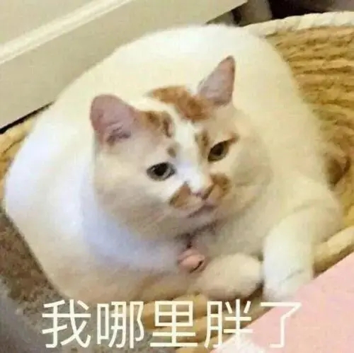 夸女生漂亮的话