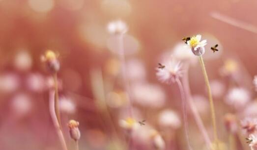 青春感言经典语录文案