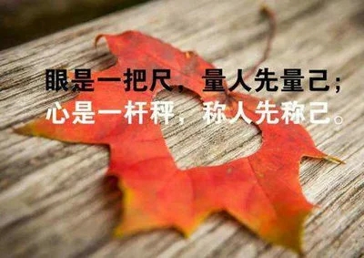 最难懂的是人心的句子文案