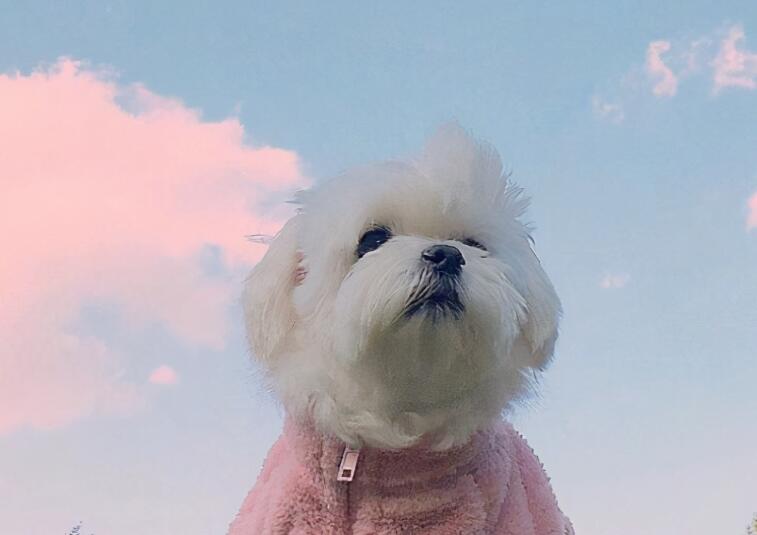 累了晚安发朋友圈说说文案