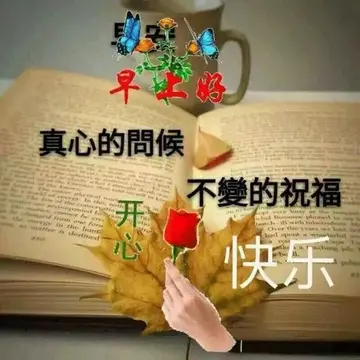 老朋友友谊每日问候