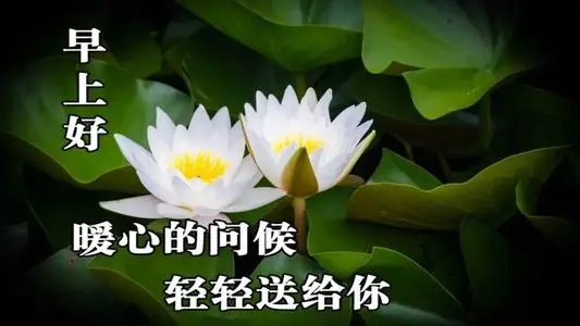 早安感恩问候语