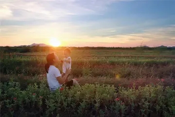 形容晚风舒服的句子文案