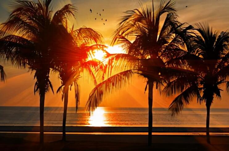 有关珍爱生命的短句子文案