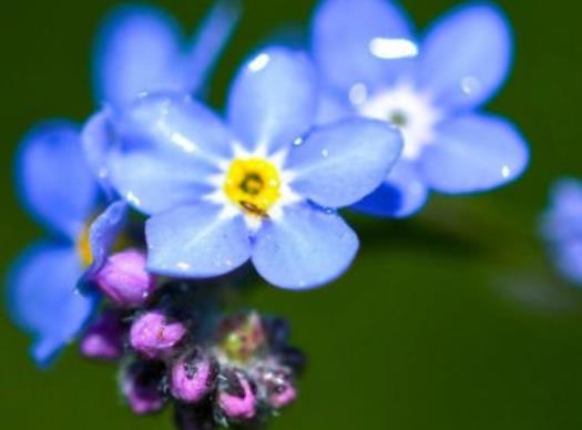 对爱情执着的心疼句子文案