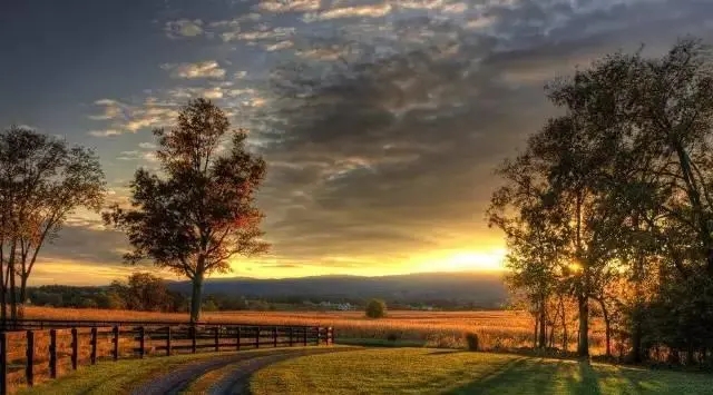 风景在路上名言警句