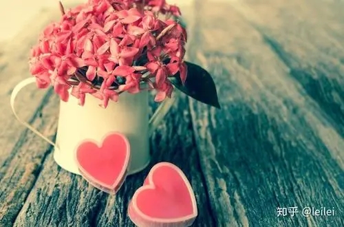 爱情唯美句子文案英