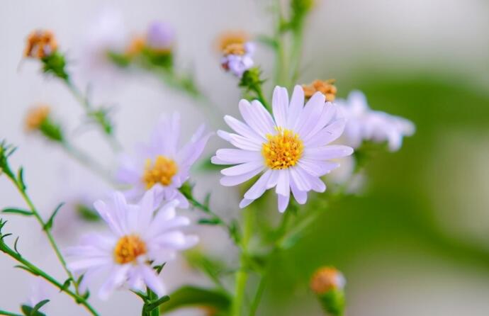 不计较的经典句子文案