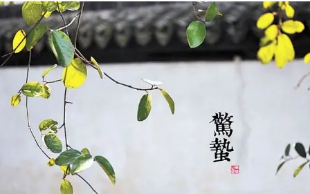 惊蛰祝福语简短