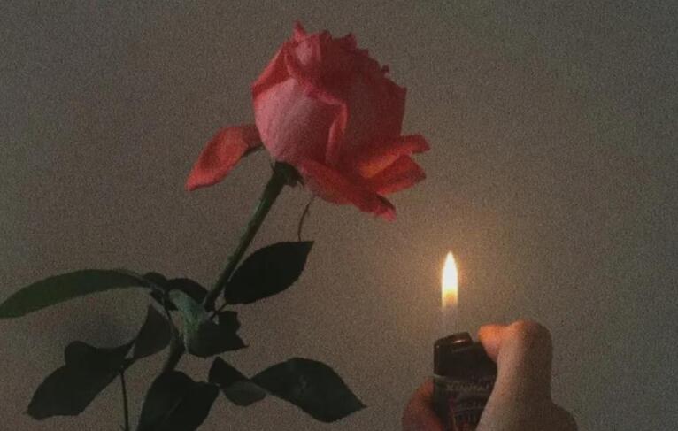 阳光积极向上的句子文案