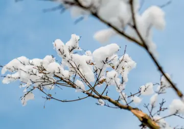 立冬搞笑说说文案
