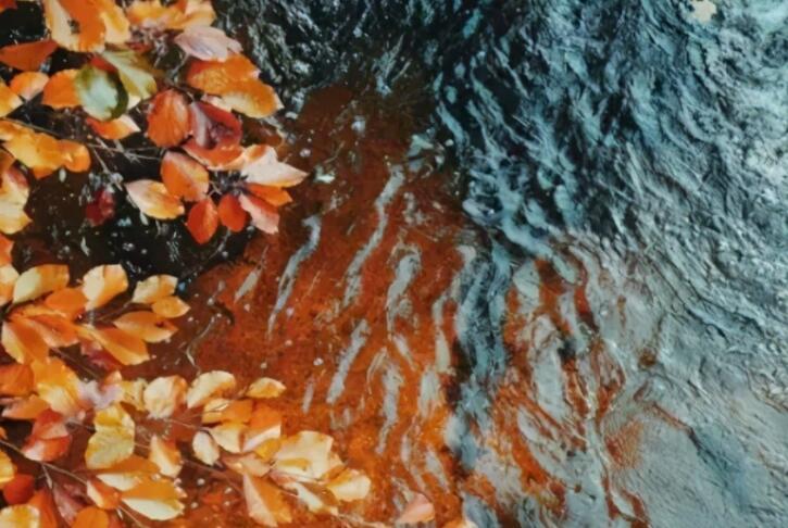 关于理解的优美段落