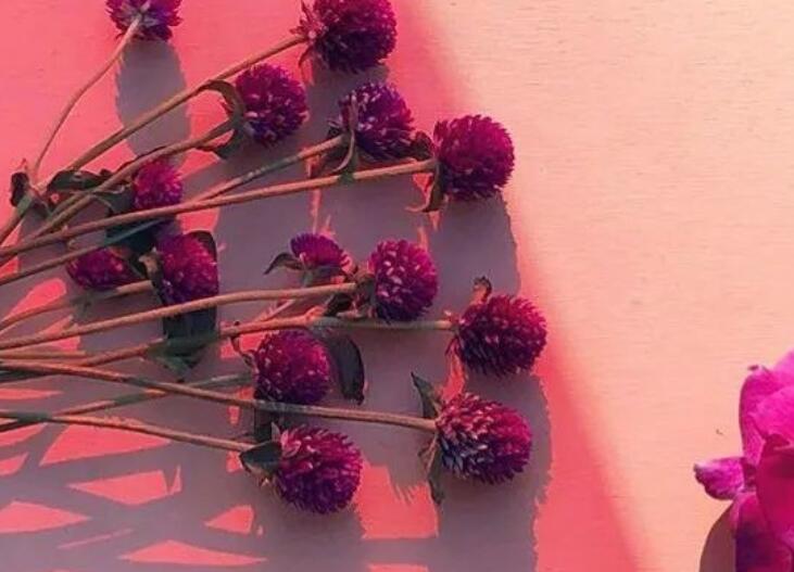 又甜又撩有点污的情话文案