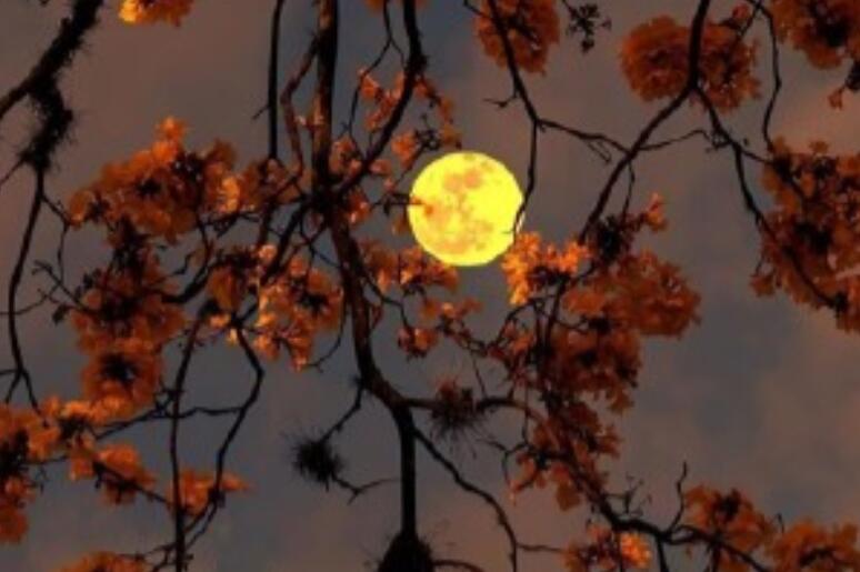 抖音精辟的句子文案