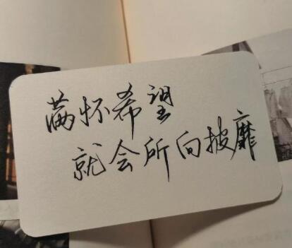 某某小说励志句子文案摘抄