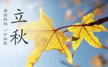 秋季问候语及关心话