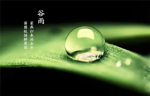 关于谷雨的说说文案
