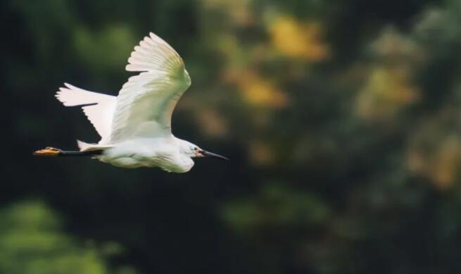大气的诗句文案古风霸气