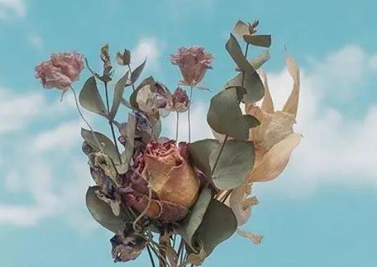 护士发表朋友圈的说说文案