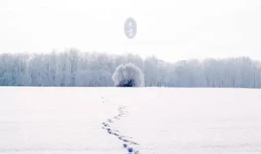 关于雪的优美句子文案