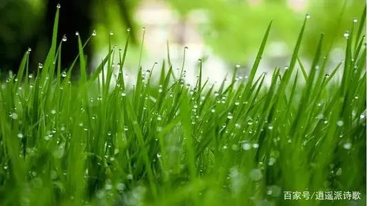 人生短暂珍惜当下语录文案