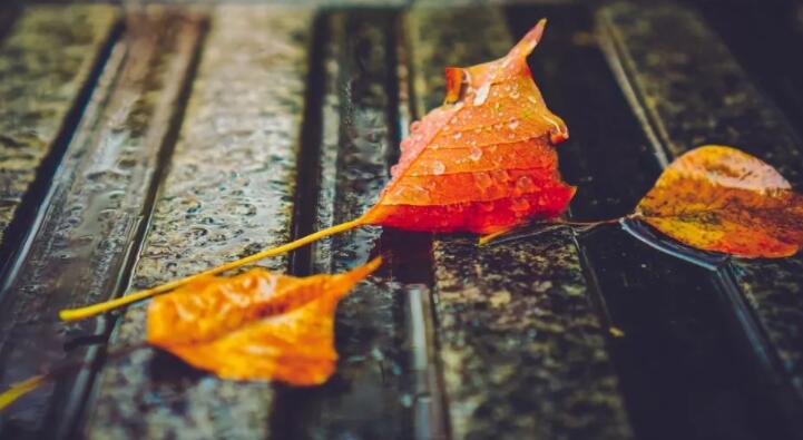 下雨天的心情经典诗词
