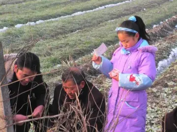 给爸爸上坟伤感的句子文案