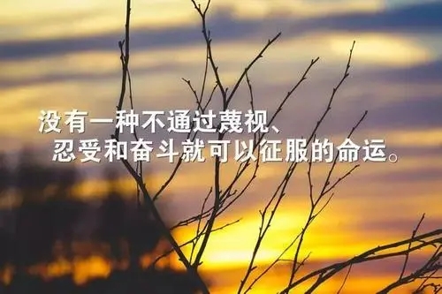 工作励志鸡汤语录文案