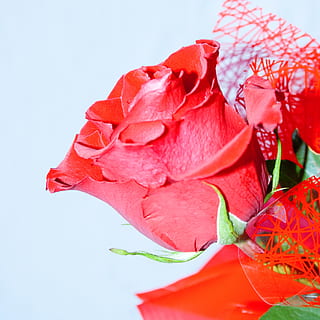 20句早安情话文案