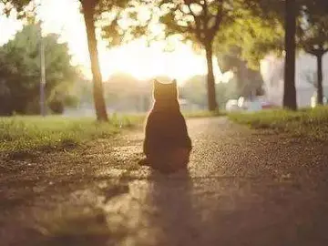 心灵鸡汤简短经典语录文案励志