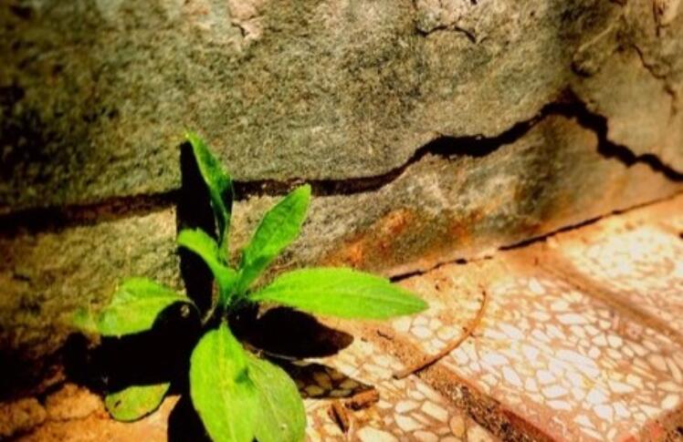 远离城市喧嚣经典语录文案