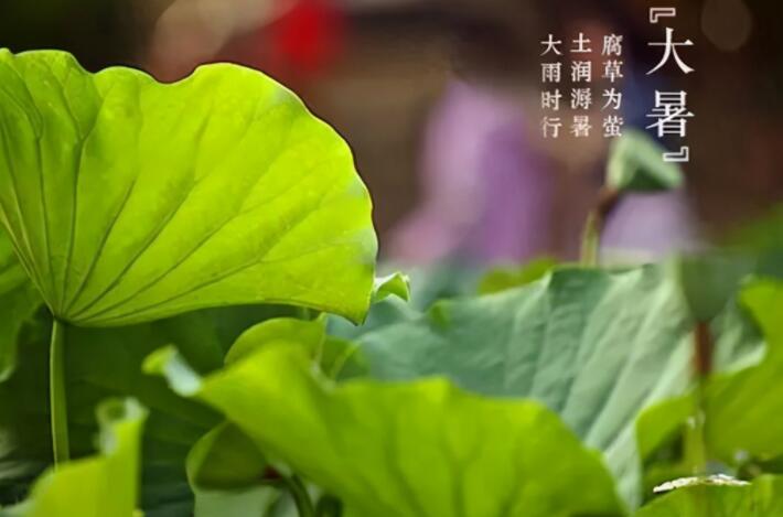 夏季关心问候短信