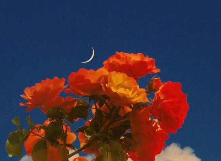 只钟情于一个人的句子文案