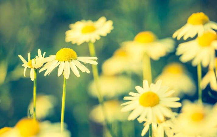 励志暖心的句子文案短句