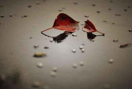 悼念死者的伤感句子文案