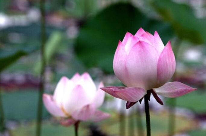 快乐的语录文案