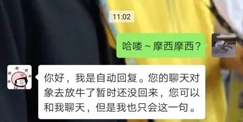 有趣的自动回复