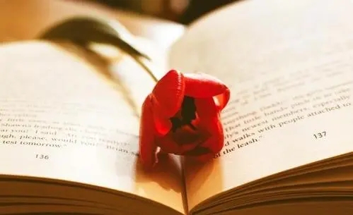 让人伤透心的英文句子文案