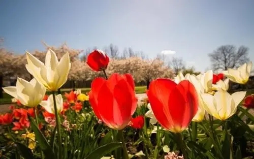 简短精辟的爱情句子文案