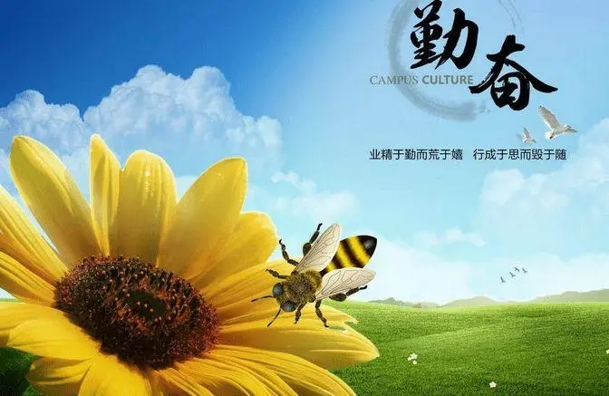 幽默夸人勤劳的句子文案