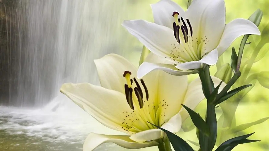 手术顺利的祝福语